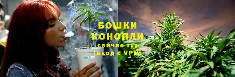 Бошки Шишки Ganja  kraken ТОР  Боровичи 